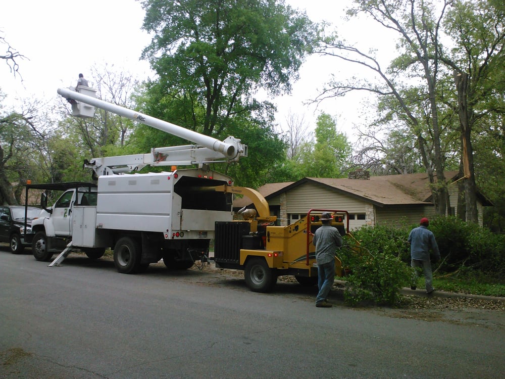 Gallery Images :  Clipper's Tree Service.